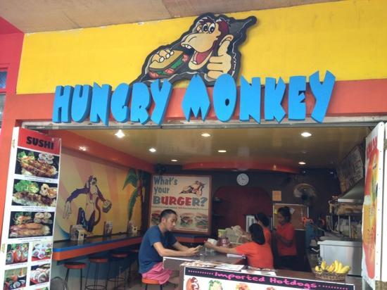 Hungry Monkey